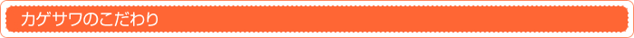 カゲサワのこだわり