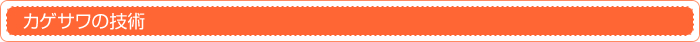 カゲサワの技術
